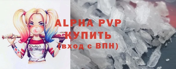 мдпв Каменка