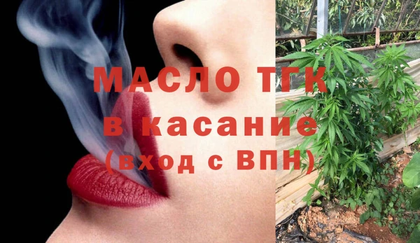мдпв Каменногорск