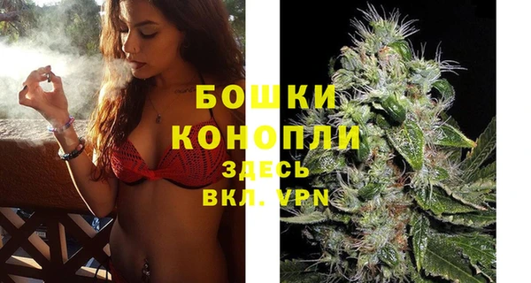 Альфа ПВП Инта