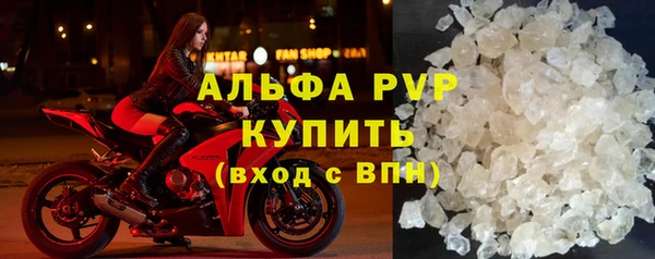 не бодяженный Иннополис