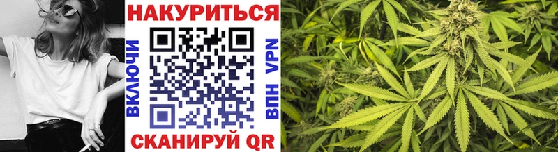 Марихуана сатива Купить Медынь